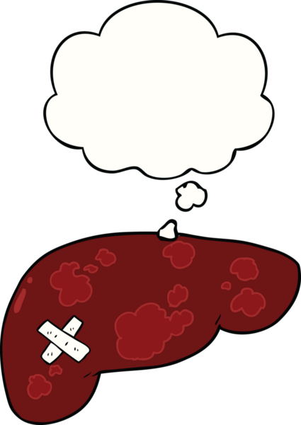 Bir insan tarafından çizilmiş, sağlıksız bir karaciğer.