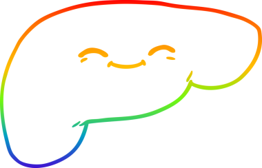 Bir insan tarafından çizilmiş karaciğerin çizimi.