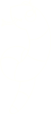 Bir insan tarafından çizilen Yılan Tebeşiri