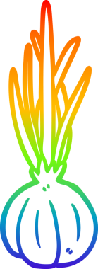 Bir insan tarafından çizilmiş sarımsak soğanı çizimi