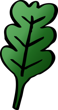 bir insan tarafından çizilmiş karikatür meşe yaprağı.