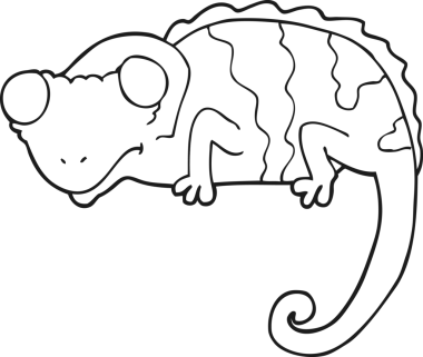 Bir insan tarafından çizilmiş siyah beyaz karikatür bukalemunu.