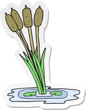 Bir insan tarafından çizilmiş bir karikatür kamışının çıkartması.