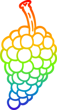 Bir insan tarafından çizilmiş bir üzüm demetinin çizimi.