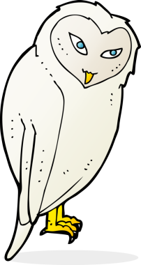 bir insan tarafından çizilmiş bir baykuş.