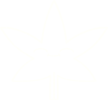 Bir insan tarafından çizilen Yaprak Tebeşiri