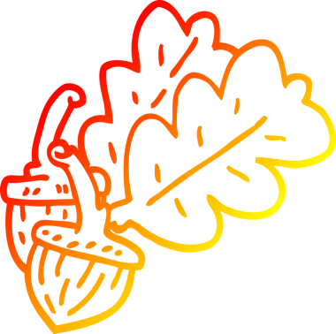 Bir insan tarafından çizilmiş bir palamutun sıcak çizgi çizimi