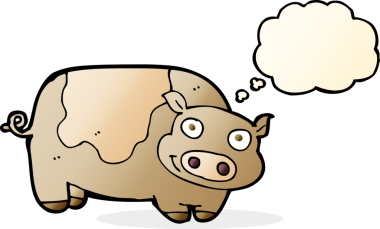 Bir insan tarafından çizilmiş düşünce balonlu çizgi film domuzu.