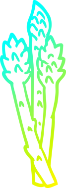 Bir insan tarafından çizilmiş kuşkonmaz çizgi çizimi.