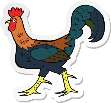 Bir insan tarafından çizilmiş karikatür horozu çıkartması.