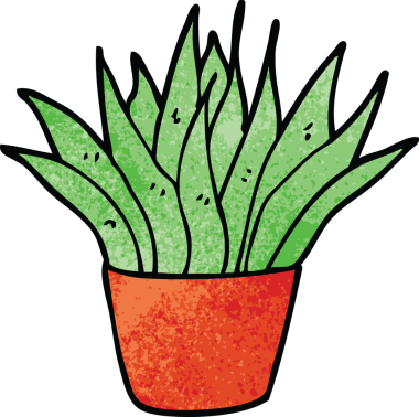 Bir insan tarafından çizilmiş karalama evi bitkisi.