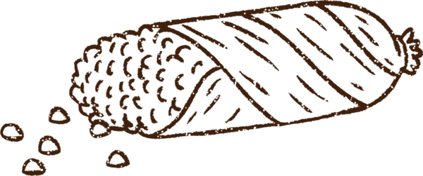 Bir insan tarafından çizilmiş mısır koçanı kömürü.