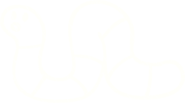 Bir insan tarafından çizilen Yılan Tebeşiri