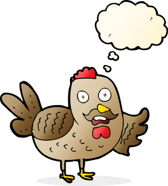 Bir insan tarafından çizilmiş düşünce kabarcığı olan yaşlı horoz çizgi filmi.