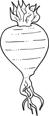 Bir insan tarafından çizilmiş siyah beyaz şalgam.