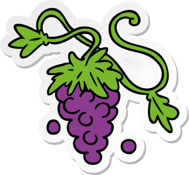 Bir insan tarafından asmaya çizilmiş üzümlerin el çizimi karikatürü.