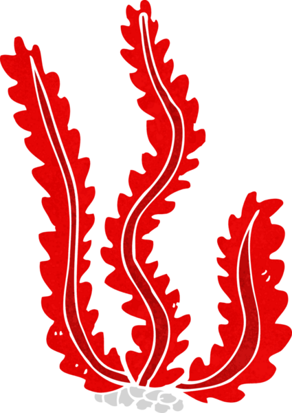 Bir insan tarafından çizilmiş karton deniz yosunu.