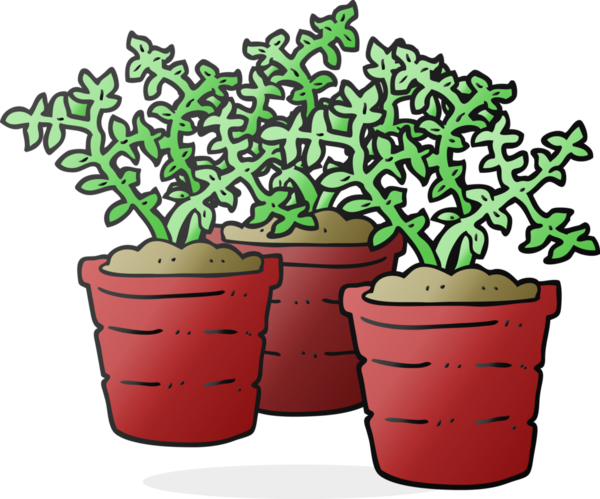 Bir insan tarafından çizilmiş karikatür saksı bitkileri.