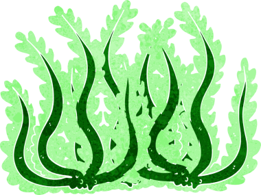 Bir insan tarafından çizilmiş karton deniz yosunu.