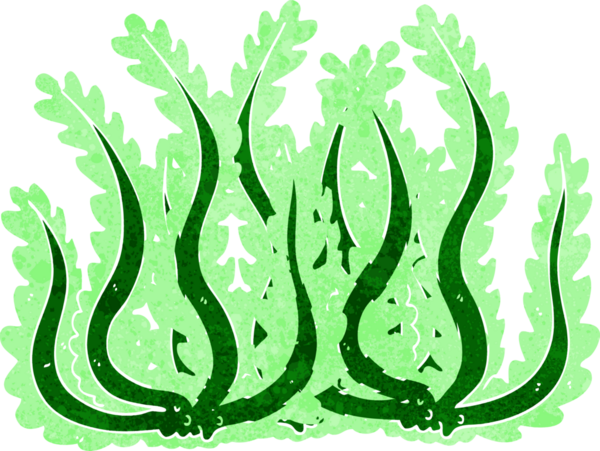 Bir insan tarafından çizilmiş karton deniz yosunu.