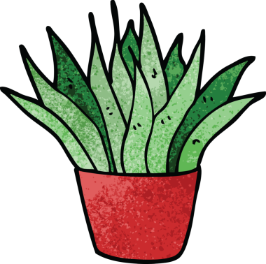 Bir insan tarafından çizilmiş karalama evi bitkisi.