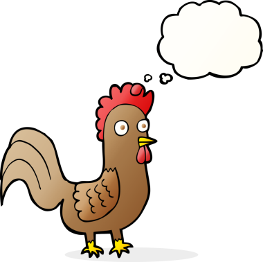 Bir insan tarafından çizilmiş düşünce kabarcığı olan çizgi film horozu.