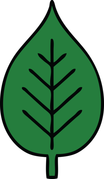Bir insan tarafından çizilmiş yeşil bir yaprak çizimi.