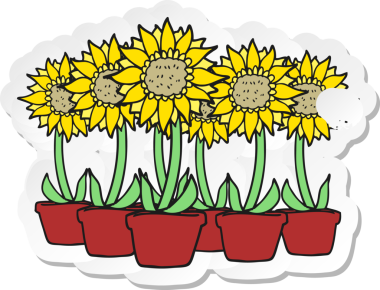 Bir insan tarafından çizilmiş bir karikatür ayçiçeğinin gerilimli yapıştırması