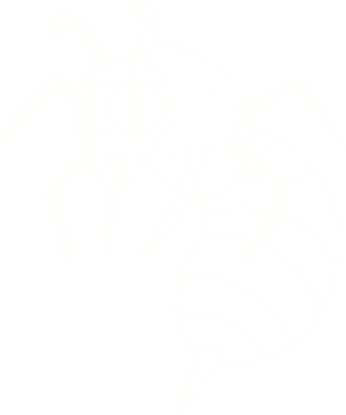 Bir insan tarafından çizilen eşekarısı tebeşiri