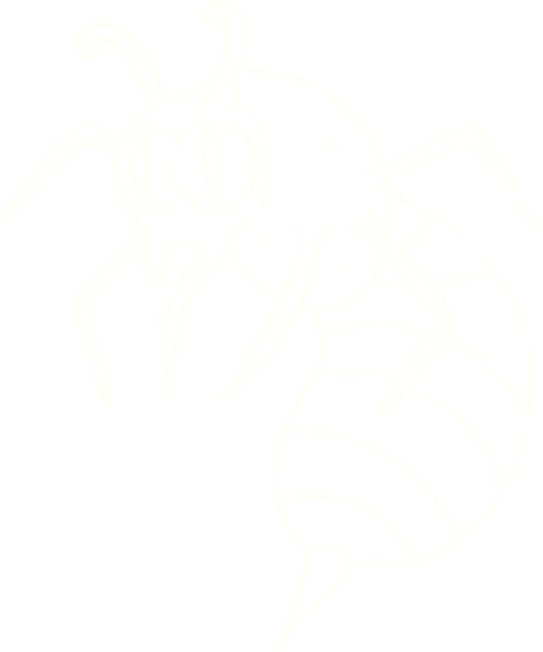 Bir insan tarafından çizilen eşekarısı tebeşiri