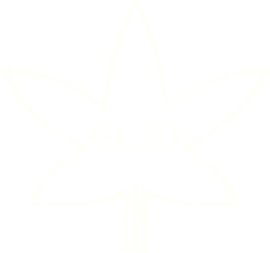 Bir insan tarafından çizilen Yaprak Tebeşiri