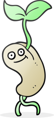 Bir insan tarafından çizilmiş serbest çizilmiş tohum tohumu.