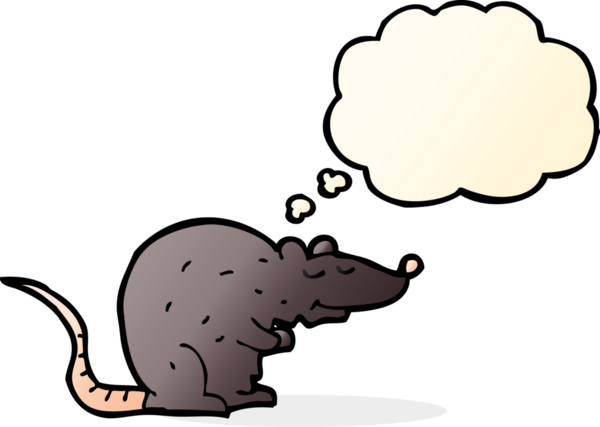 Bir insan tarafından çizilmiş düşünce kabarcığı olan siyah bir fare.