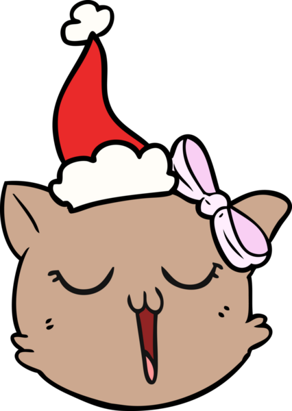 Bir insan tarafından çizilmiş Noel Baba şapkası takan bir kedi yüzü çizilmiş.