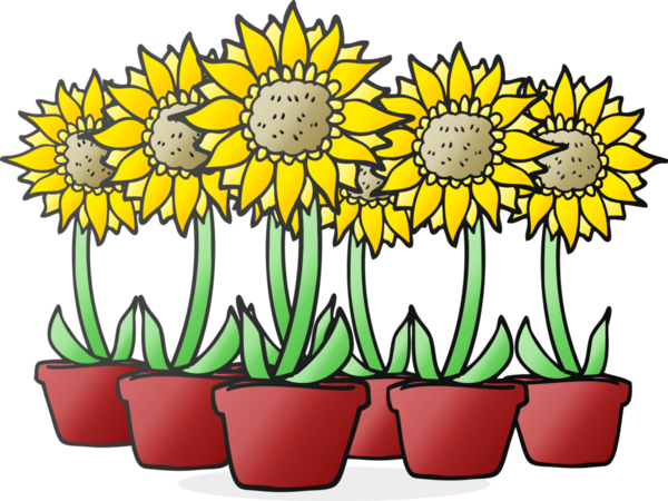 Bir insan tarafından çizilmiş serbest çizim ayçiçekleri.