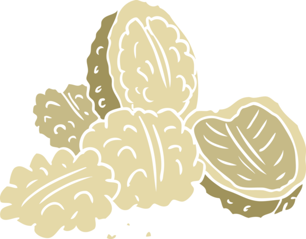 Bir insan tarafından çizilmiş düz renkli çizgi film cevizleri.