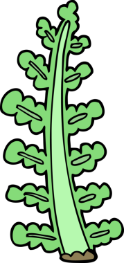 bir insan tarafından çizilmiş karikatür bitkisi