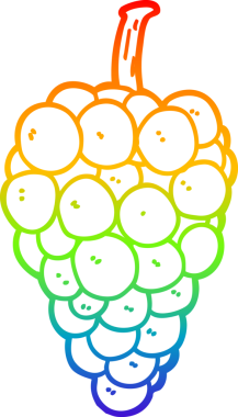 gökkuşağı gradyan çizgi çizimi bir insan tarafından çizilmiş üzümler