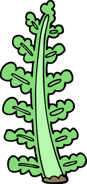 bir insan tarafından çizilmiş karikatür bitkisi