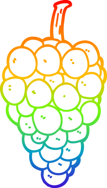 gökkuşağı gradyan çizgi çizimi bir insan tarafından çizilmiş üzümler