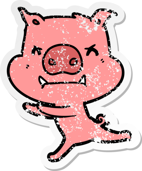 Bir insan tarafından çizilmiş kızgın çizgi film domuzunun sıkıntılı çıkartması.