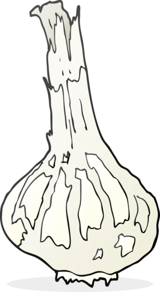 Bir insan tarafından çizilmiş sarımsak karikatürü.