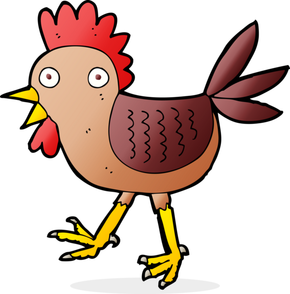 Bir insan tarafından çizilmiş komik çizgi film tavuğu.
