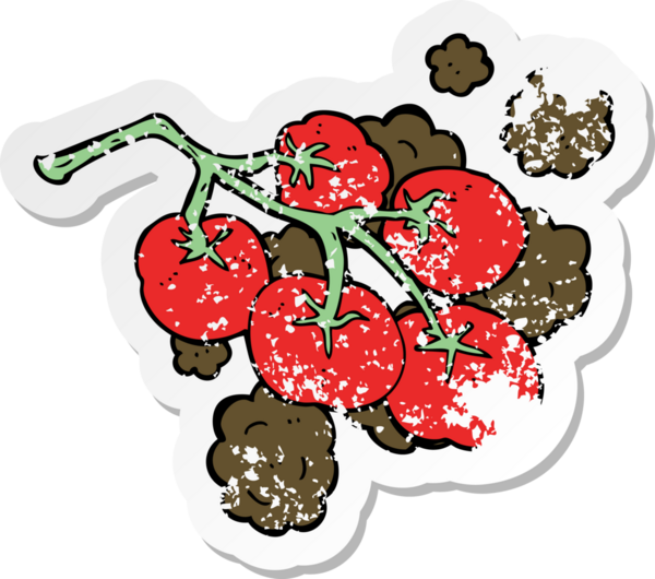 Bir insan tarafından çizilmiş sarmaşık resimli yeşil domatesin gerilemiş etiketi.