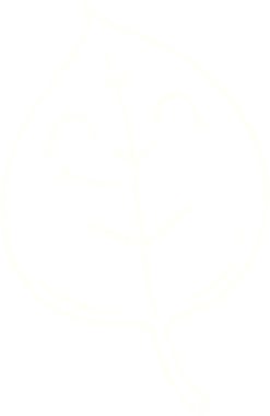 Bir insan tarafından çizilen Yaprak Tebeşiri