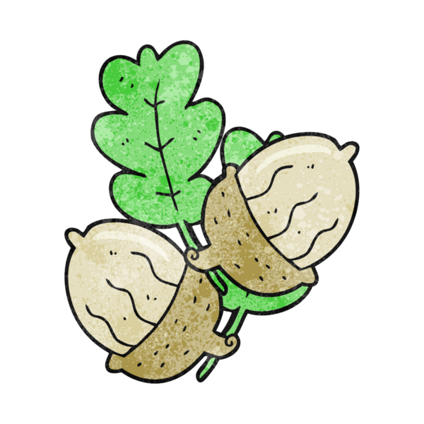 Bir insan tarafından çizilmiş el yapımı desenli meşe palamudu.