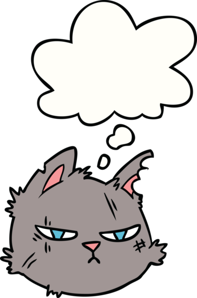 Bir insan tarafından çizilmiş düşünce baloncuklu sert kedi suratı.
