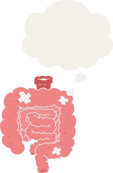 Karikatür, insan tarafından çizilmiş düşünce baloncuklarıyla bağırsakları onardı.