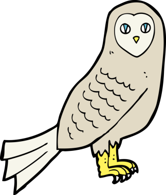 bir insan tarafından çizilmiş bir baykuş.