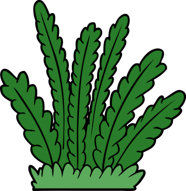 Bir insan tarafından çizilen bitki yetiştirme çizgi filmi